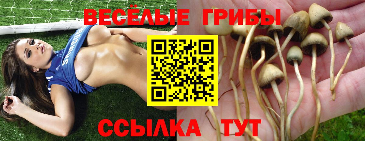 даркнет сайт  Вход с VPN  Югорск  Галлюциногенные грибы Magic Shrooms 